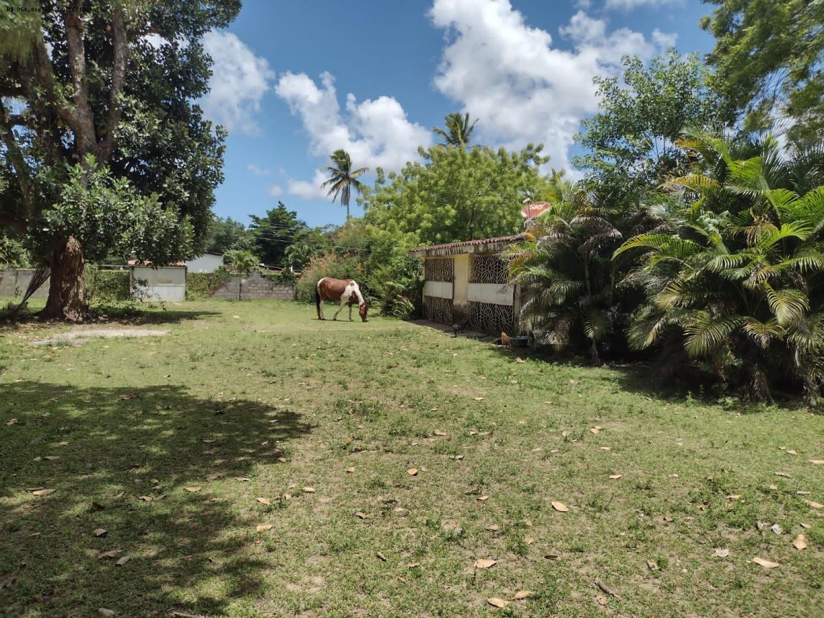 Terreno à venda com 4 quartos, 280m² - Foto 27