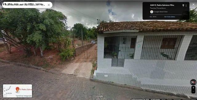 Terreno à venda com 3 quartos, 290m² - Foto 4